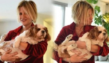 Max'a Pitbull Saldırdı!