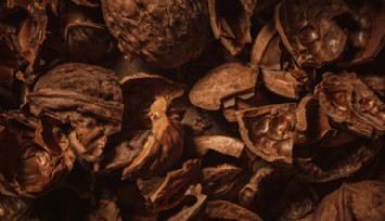 Ceviz Kabuğu Saç Çıkarıyor!