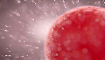 Gelecek Tehdit Altında!