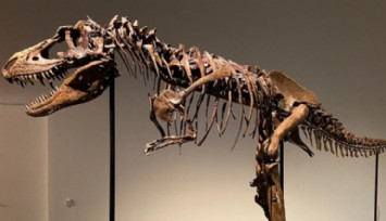 6 Milyon Dolara Satıldı!