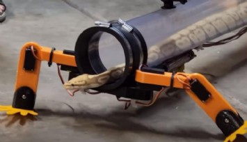 Artık Yılanlar Yürüyebilecek!