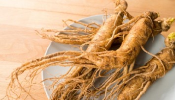 Bitkiler Aleminin Kralı: Ginseng!
