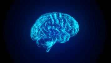 Beyni Canlı Tutabilen Cihaz İcat Edildi!