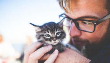 Yapay Zeka, Hayvanlarla Konuşmayı Sağlayabilir mi?