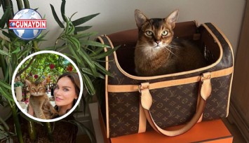 ÖZEL: Ebru Şallı Kedisine 3 Bin Dolara Çanta Aldı!