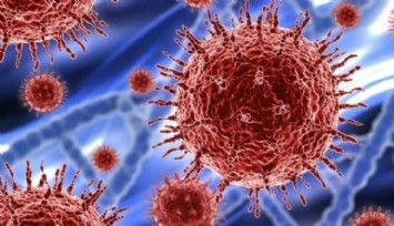 Gizemli Virüs Hızla Yayılıyor!